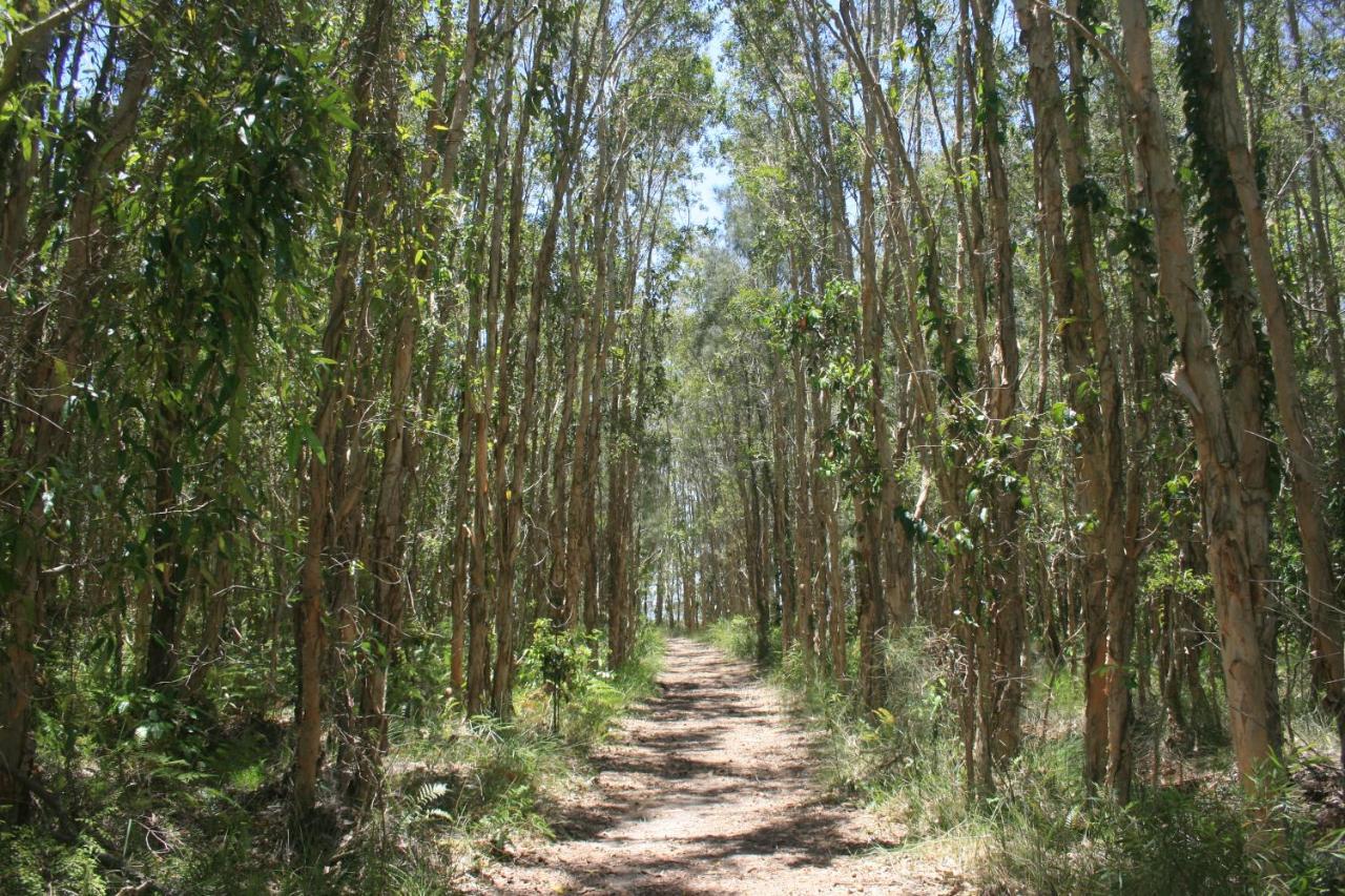 Lake Weyba Noosa Lodge & Kangaroos Peregian Beach Exterior foto