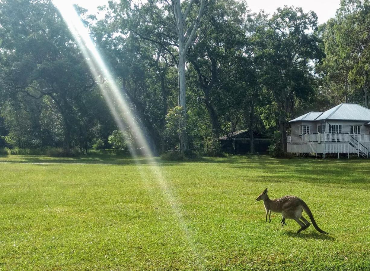 Lake Weyba Noosa Lodge & Kangaroos Peregian Beach Exterior foto