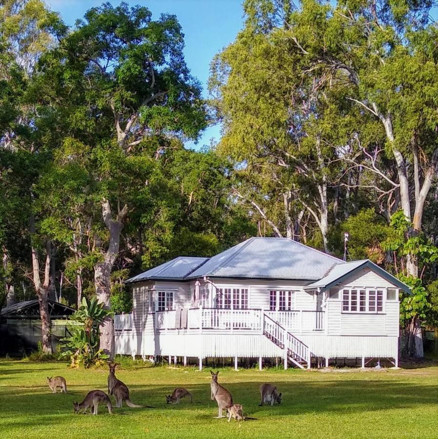 Lake Weyba Noosa Lodge & Kangaroos Peregian Beach Exterior foto