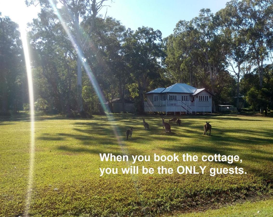 Lake Weyba Noosa Lodge & Kangaroos Peregian Beach Exterior foto
