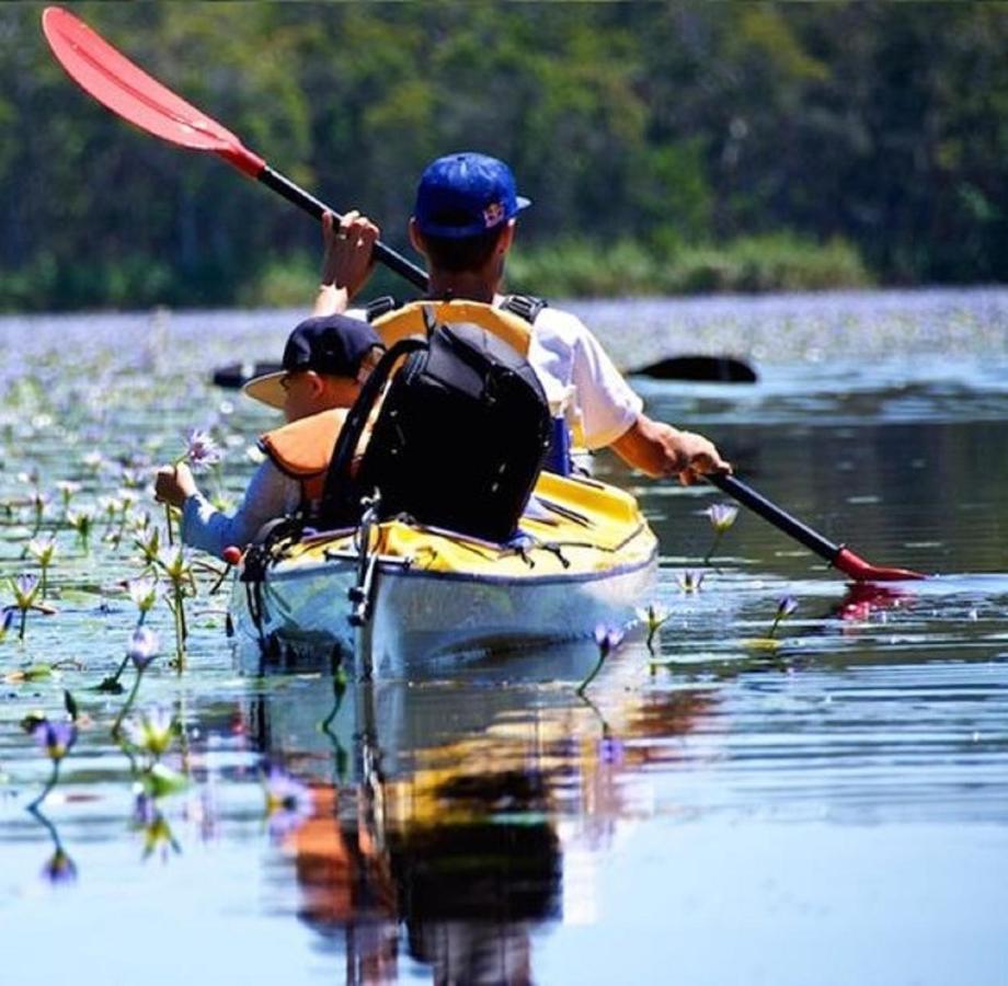 Lake Weyba Noosa Lodge & Kangaroos Peregian Beach Exterior foto