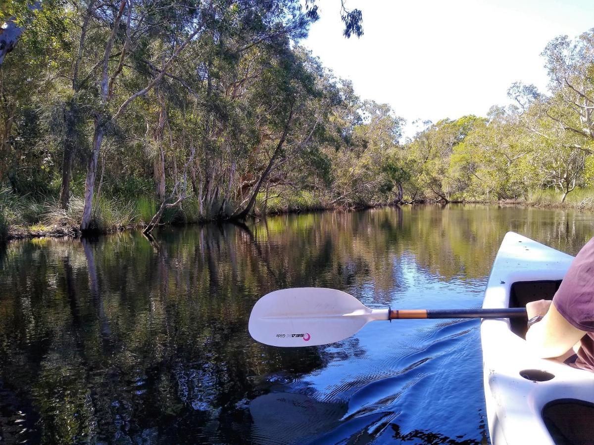 Lake Weyba Noosa Lodge & Kangaroos Peregian Beach Exterior foto