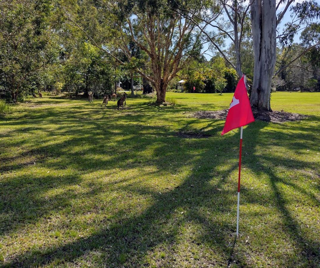 Lake Weyba Noosa Lodge & Kangaroos Peregian Beach Exterior foto