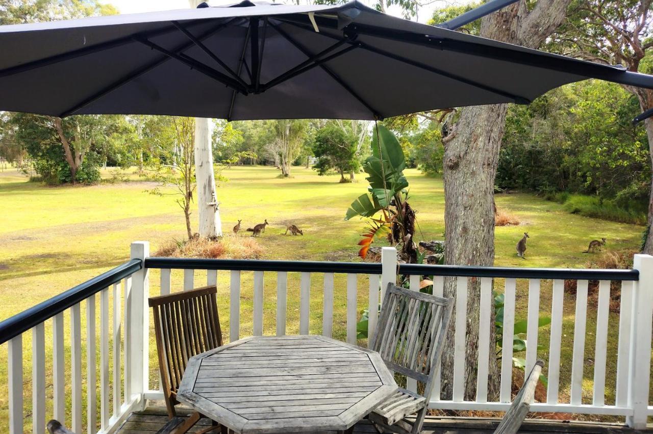 Lake Weyba Noosa Lodge & Kangaroos Peregian Beach Exterior foto