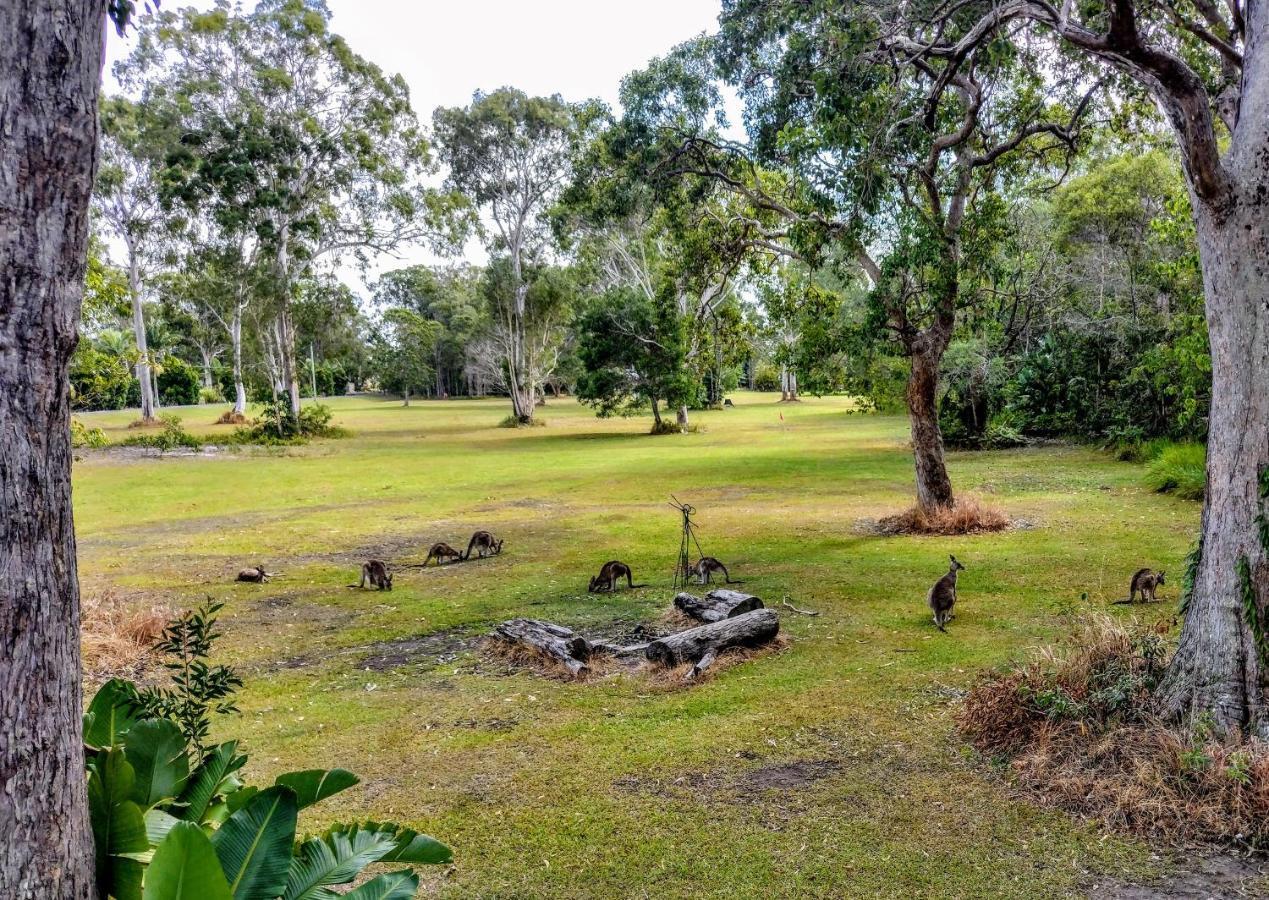 Lake Weyba Noosa Lodge & Kangaroos Peregian Beach Exterior foto