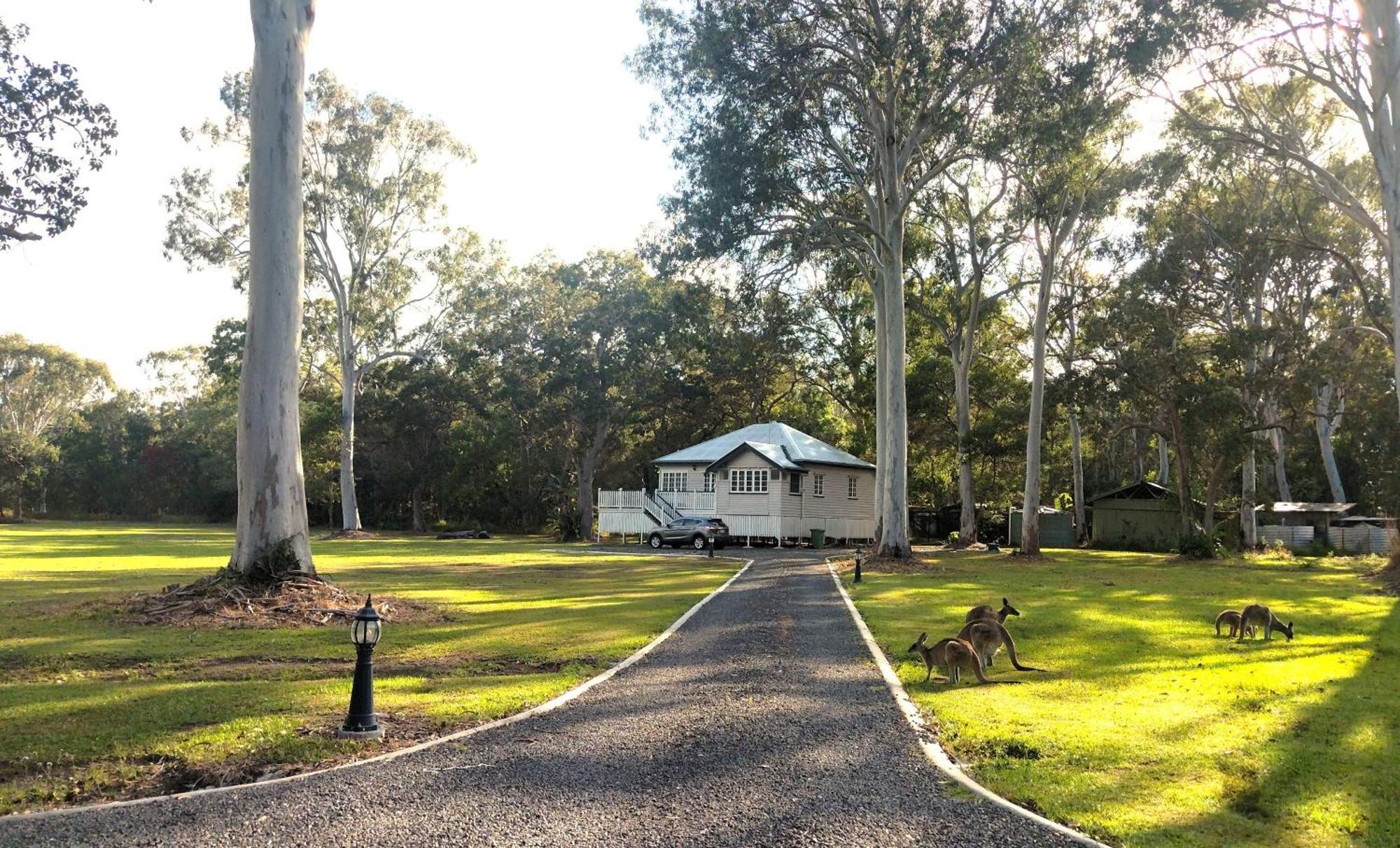 Lake Weyba Noosa Lodge & Kangaroos Peregian Beach Exterior foto